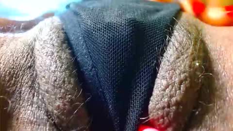 Snapshot of bethanywilsom chatting on December 2025 02:12:02 PM Bethany Wilson online show from December 2025 02:12:02 PM