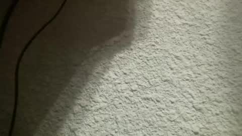 Snapshot of bgf32054 chatting on February 2025 05:21:01 AM Bigfish123 online show from February 2025 05:21:01 AM