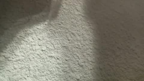 Snapshot of bgf32054 chatting on March 2025 04:41:01 AM Bigfish123 online show from March 2025 04:41:01 AM