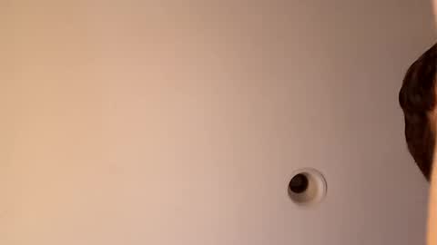 Snapshot of bgiamba21 chatting on October 2025 03:40:01 AM bgiamba21 online show from October 2025 03:40:01 AM