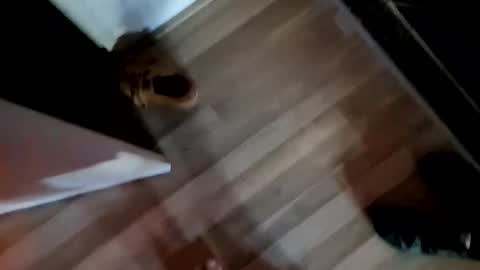 bibaboob online show from February 2026 10:36:02 AM