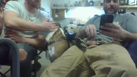 bicboy007 online show from March 2025 02:34:01 AM