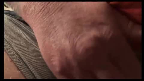 big_teddy_bear76 online show from October 2025 02:41:02 AM