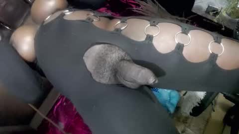 Snapshot of big_trans chatting on January 2026 05:18:01 PM big_trans online show from January 2026 05:18:01 PM