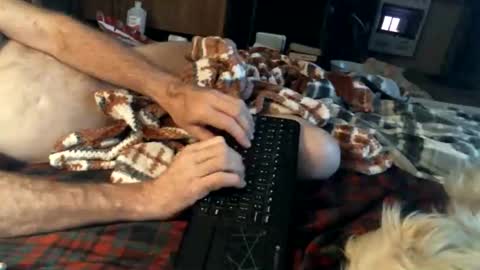 BB online show from February 2025 04:29:01 AM