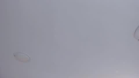   online show from October 2025 09:07:01 AM