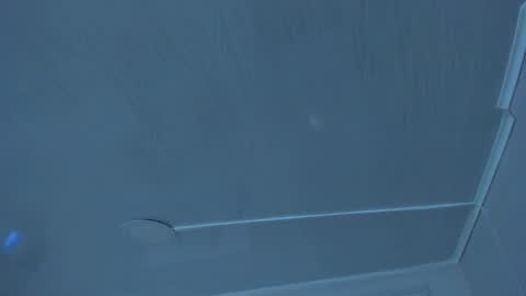   online show from October 2025 09:59:01 AM