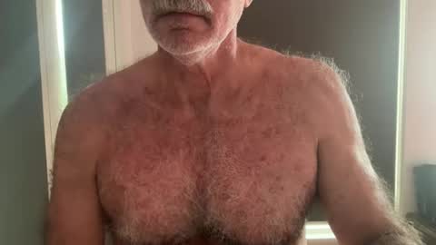 big bush online show from May 2026 01:56:01 AM