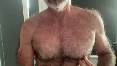 Snapshot of bigbush1 chatting on June 2026 12:04:01 AM big bush online show from June 2026 12:04:01 AM