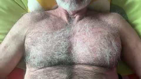 Snapshot of bigbush1 chatting on July 2026 01:34:01 AM big bush online show from July 2026 01:34:01 AM