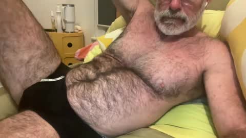 Snapshot of bigbush1 chatting on July 2026 07:45:01 AM big bush online show from July 2026 07:45:01 AM
