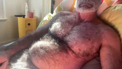 Snapshot of bigbush1 chatting on July 2026 02:03:02 AM big bush online show from July 2026 02:03:02 AM