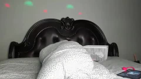 Snapshot of bigbuttsarena chatting on October 2025 05:42:01 PM bigbuttsarena online show from October 2025 05:42:01 PM