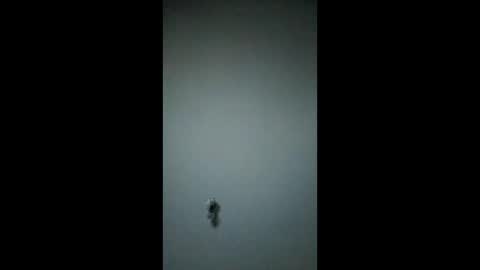 Snapshot of bigchorizo18 chatting on March 2026 05:00:02 AM bigchorizo18 online show from March 2026 05:00:02 AM