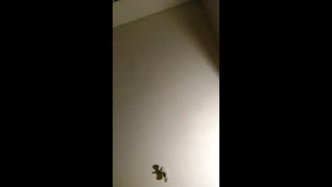 Snapshot of bigchorizo18 chatting on April 2026 05:16:01 AM bigchorizo18 online show from April 2026 05:16:01 AM