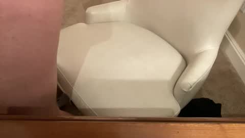 bigcock4u32 online show from March 2026 04:16:02 AM