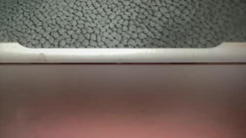 bigcocksuckingslut online show from February 2025 05:26:02 PM