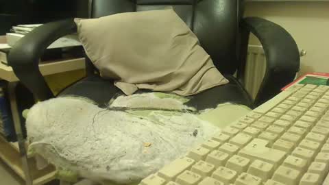 Snapshot of bigcurve chatting on January 2025 08:21:01 PM bigcurve online show from January 2025 08:21:01 PM