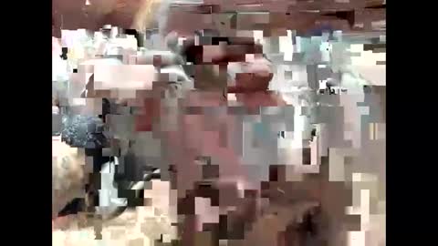 BigDaddykodack online show from September 2025 06:41:02 PM