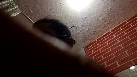 BigDaddykodack online show from October 2025 09:24:01 AM