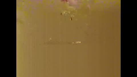 Snapshot of bigdaddydongarlets391292 chatting on October 2025 08:06:01 AM bigdaddydongarlets391292 online show from October 2025 08:06:01 AM