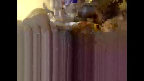 Snapshot of bigdaddydongarlets391292 chatting on December 2025 11:30:02 AM bigdaddydongarlets391292 online show from December 2025 11:30:02 AM