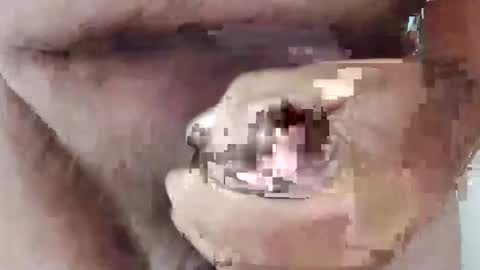 bigdforfun2nite online show from October 2025 11:16:02 PM