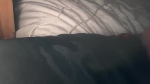 Snapshot of bigdick686268 chatting on October 2025 07:33:01 PM Pac Man Sex online show from October 2025 07:33:01 PM