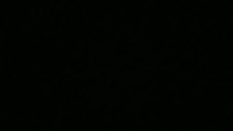 bigdickfitdude34 online show from September 2025 12:54:01 AM