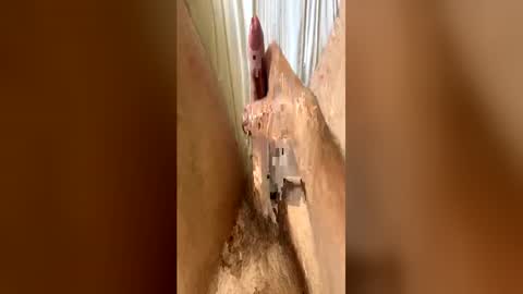 bigdickplaya_ online show from June 2026 12:14:01 PM