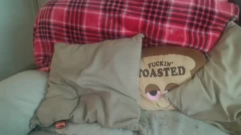 bigdicktrannynicole online show from January 2025 07:23:01 PM