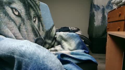 Snapshot of bigdickyduby chatting on December 2024 05:40:02 AM George Forest Dickyduby on all Socials online show from December 2024 05:40:02 AM