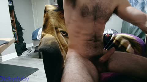 Snapshot of bigdickyduby chatting on January 2025 06:29:01 AM George Forest Dickyduby on all Socials online show from January 2025 06:29:01 AM