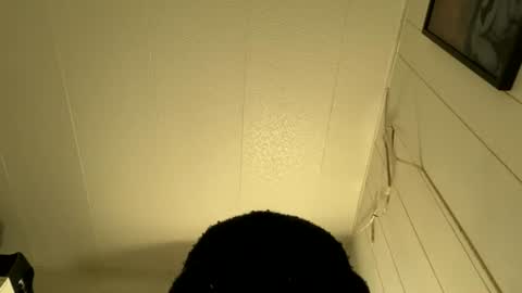 bigdickywn online show from July 2026 04:30:01 AM