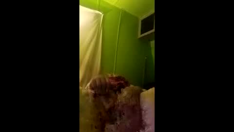 bigdog9thick online show from April 2026 07:23:01 AM