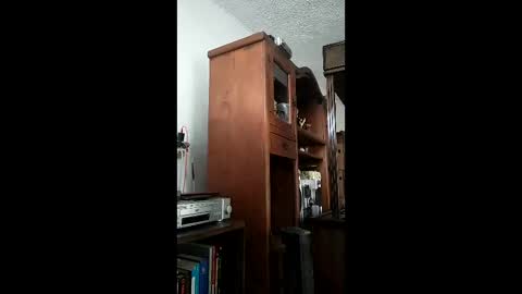 Snapshot of bigfalo58 chatting on December 2025 06:37:02 PM bigfalo58 online show from December 2025 06:37:02 PM