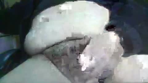 bigfish22222 online show from January 2026 06:06:02 AM