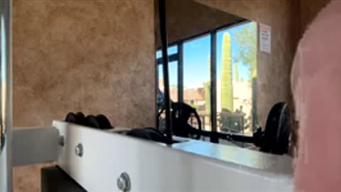 Gavin online show from November 2025 08:12:01 PM