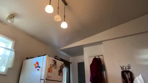 Snapshot of bigheadaddy90 chatting on March 2025 02:48:02 PM Daniel Noelia online show from March 2025 02:48:02 PM