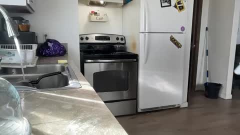 Snapshot of bigheadaddy90 chatting on November 2025 08:55:01 PM Daniel Noelia online show from November 2025 08:55:01 PM