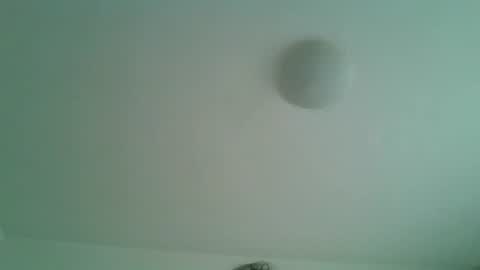 daddy online show from July 2026 11:01:02 AM