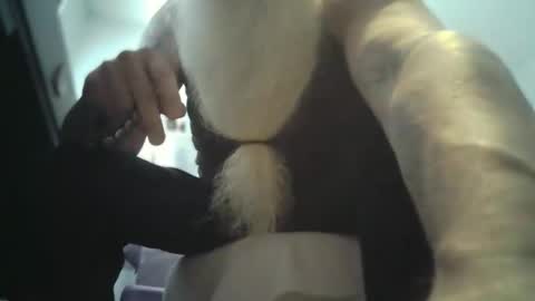 bigjeff01 online show from February 2026 03:39:02 PM