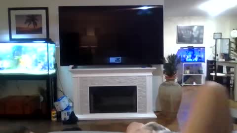 bigjoed233 online show from May 2026 12:06:01 AM