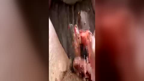 bigjucyload online show from June 2026 12:17:01 PM