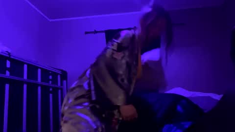 Bigkitties online show from January 2025 02:17:02 PM