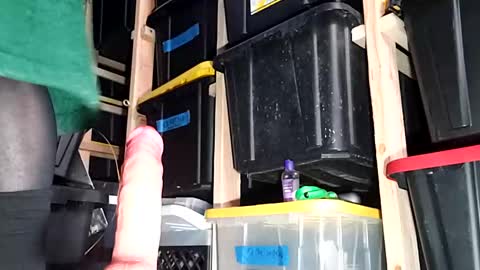 bigmanaround9 online show from December 2024 07:01:02 PM