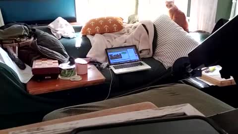 bigmanaround9 online show from February 2025 09:07:02 PM