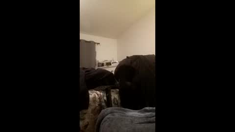 bigmeatywidesolelover online show from April 2026 01:50:01 PM