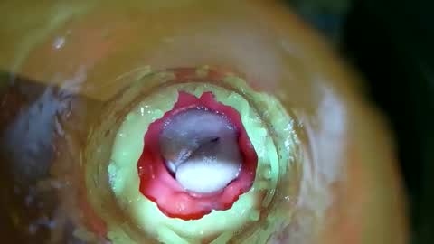 Snapshot of bigmoneycorey chatting on March 2026 07:30:01 PM bigmoneycorey online show from March 2026 07:30:01 PM