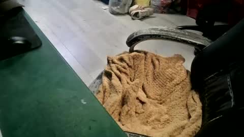 bigpeepdude online show from June 2026 04:42:02 PM